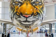 11kk.con: como uma plataforma digital pode transformar a experiência do usuário brasileiro